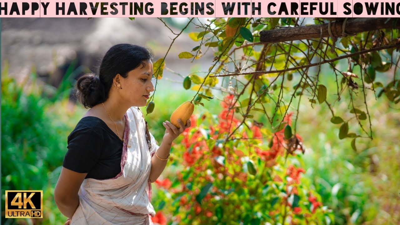 বনৰীয়া শাকৰ পাহৰিব নোৱাৰা সোৱাদ বোৰ | An unforgettable taste of wild Herb's |