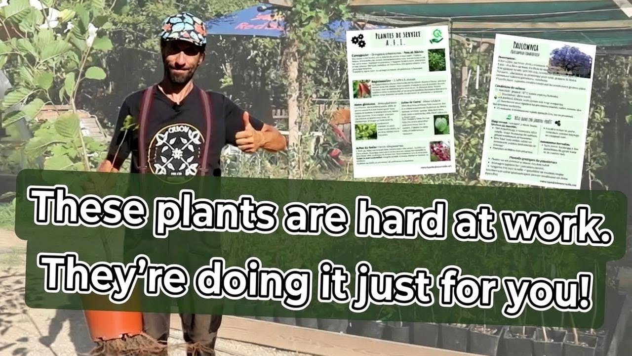 The Garden Plants Everyone Forgets About...