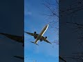 Qatar Airways Boeing 777-300er landing in LHR😍😍 #fly #airplane #aircraft #planespotting #avgeek