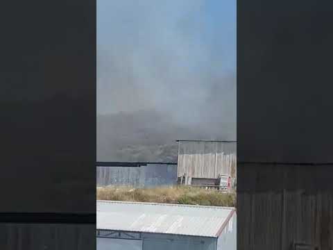 Πυρκαγιά στο Βατί 19/6/2019 Πυρκαγιά στο Βατί 19/6/2019
