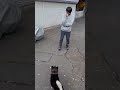 困った…
