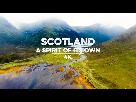 Flying With Dolphins | SCOTLAND 4K