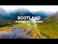 Flying With Dolphins | SCOTLAND 4K