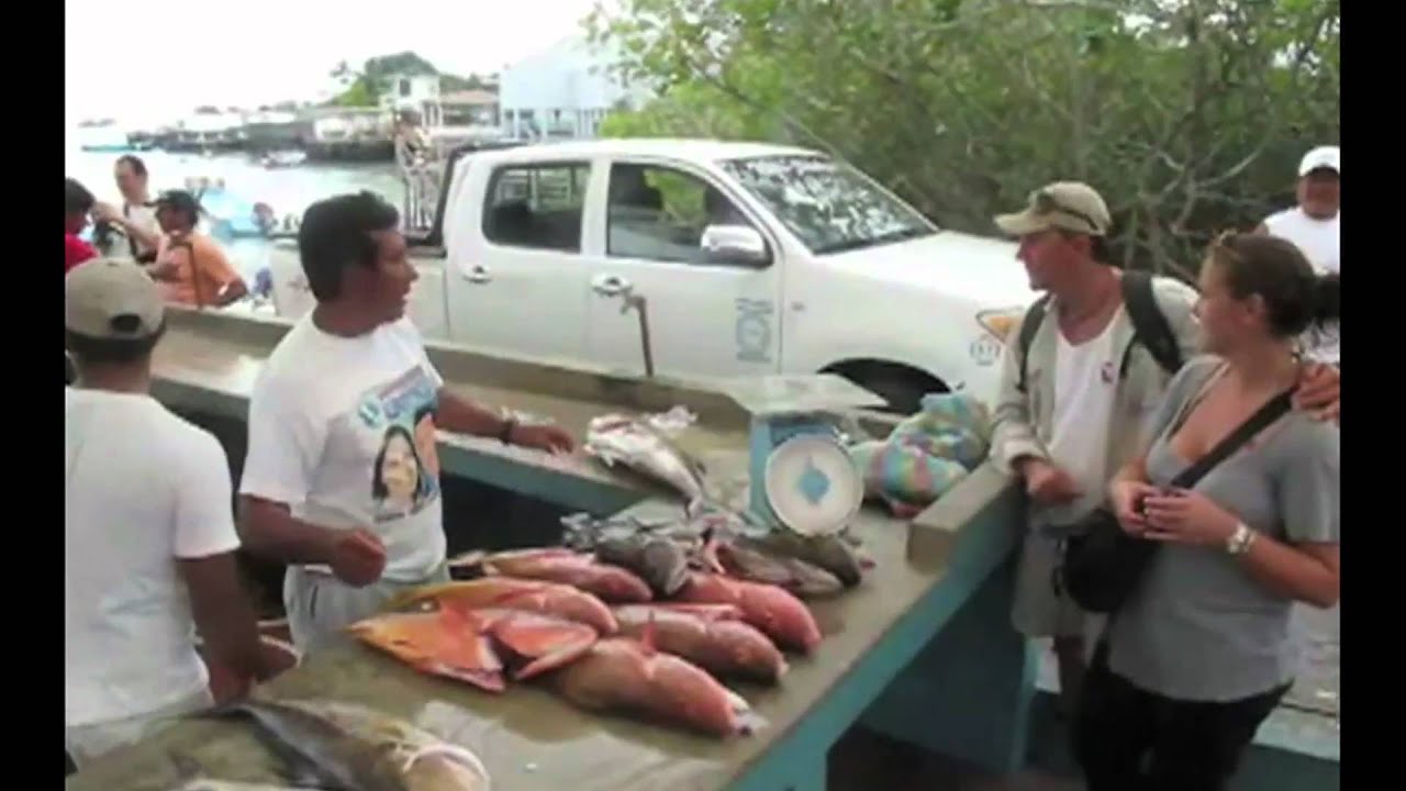 Minute PlanetSolar - February 2011 - World Tour