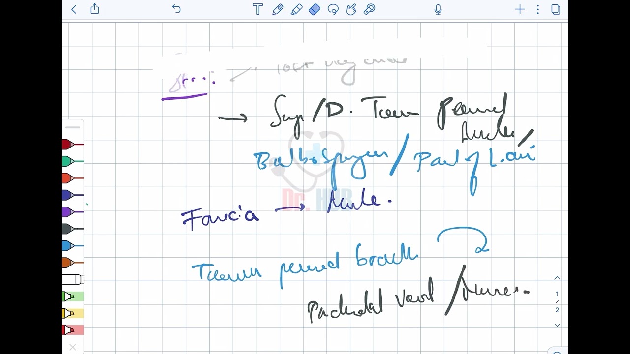 Mediolateral episiotomy