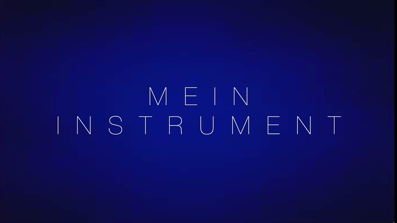 🎵 Mein Instrument – aus gegebenem Anlass  👍 🎵