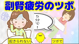 副腎疲労を回復させる あなたの体質改善に効果的な ツボの温熱療法とは Youtube