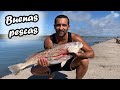 Pescas Variadas en //LA PALOMA ROCHA URUGUAY//