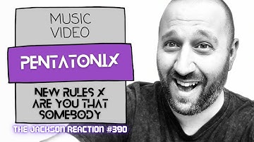 @PTXofficial New Rules x Are You That Somebody MV   YT Artist Reacts