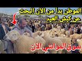 المواطن الجزئري بدأ من الان شراء كبش عيد الأضحى 2026 تابع آخر أحبار أسعار الكباش على المباشر