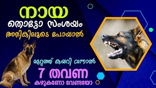 നായ തൊട്ടോ അരികിലൂടെ പോയാൽ മുറ്റത്ത് വന്നാൽ 7 തവണ കഴുകണോ Naya 7 Thavana Kazhukano | Goodness path
