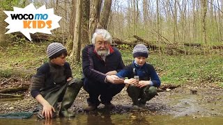 Waldschule mit Opa - ein Spaziergang durch den Elm