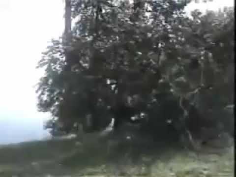 Dağların Aslanı Hattab Rus Helikopterini Düşürüyor