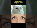 Dogs Can Have Different Colored Eyes🐕🐕👀#animals #animalfacts #shorts