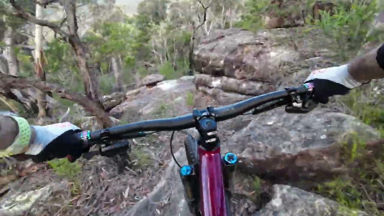 "Tina" - Turner DH - Berowra Heights MTB