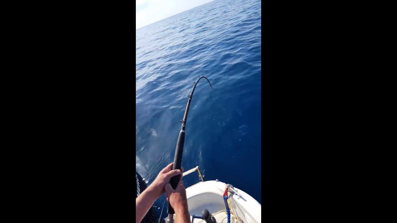 fishing Montenegro adriatic sea shark!!! YouTube fishing Montenegro adriatic sea shark!!! YouTube