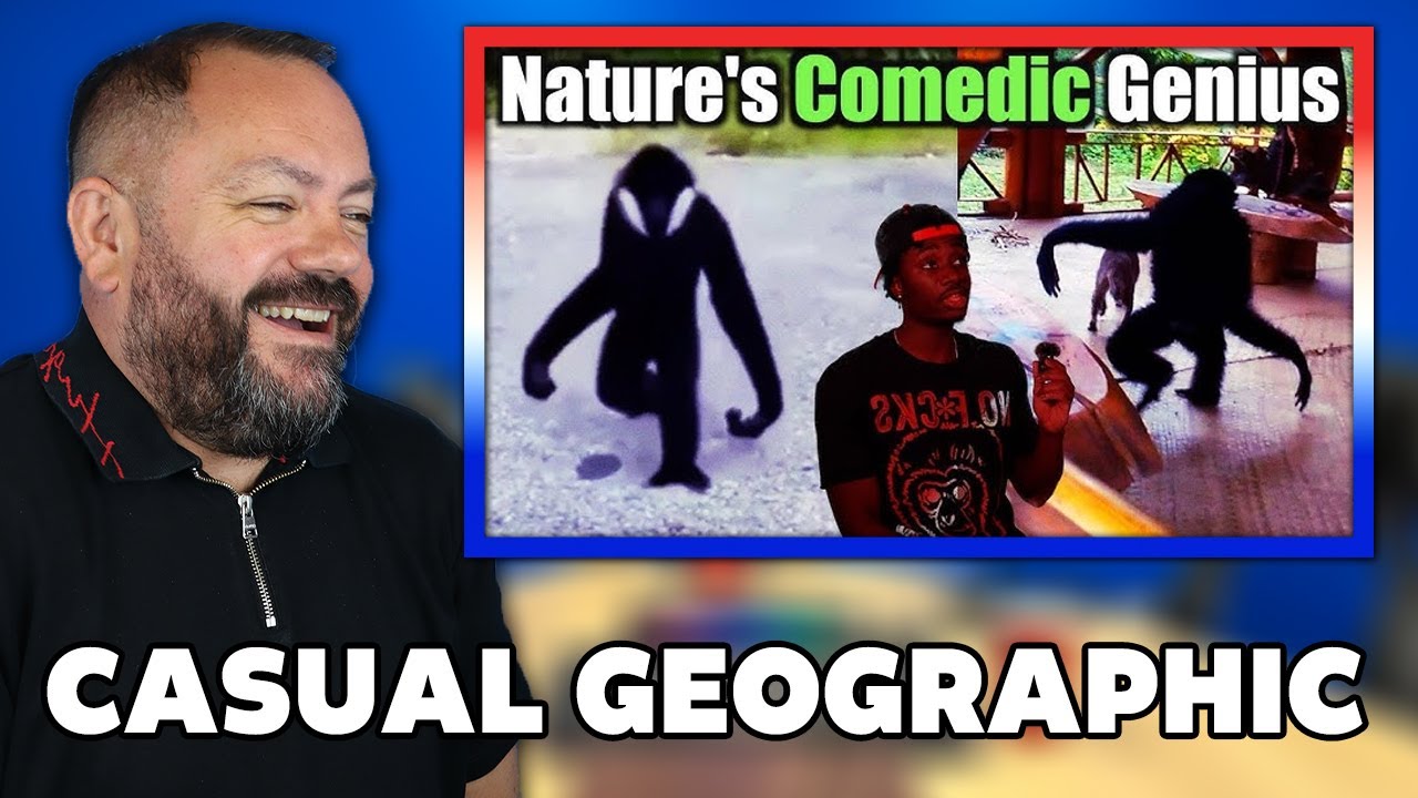 This is the Funniest Animal on Earth, I'm Sorry REACTION | OFFICE BLOKES REACT!!