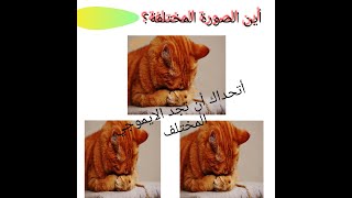 طرق قياس مستوى الذكاء/ اذا قمت بحل كل سؤال خلال دقيقة واحدة فأنت عبقريdifferent face