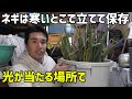 ネギの保存方法