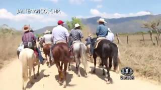 Programa Bridón Jaltenango, CHP