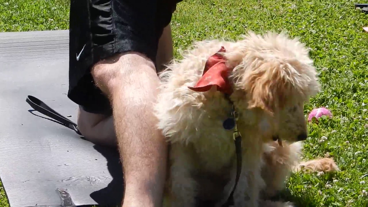 Yoga on the Bluff in Long Beach CA