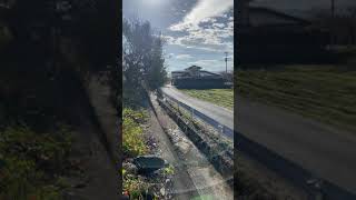 モンキーカスタム ミニモト110cc仕様