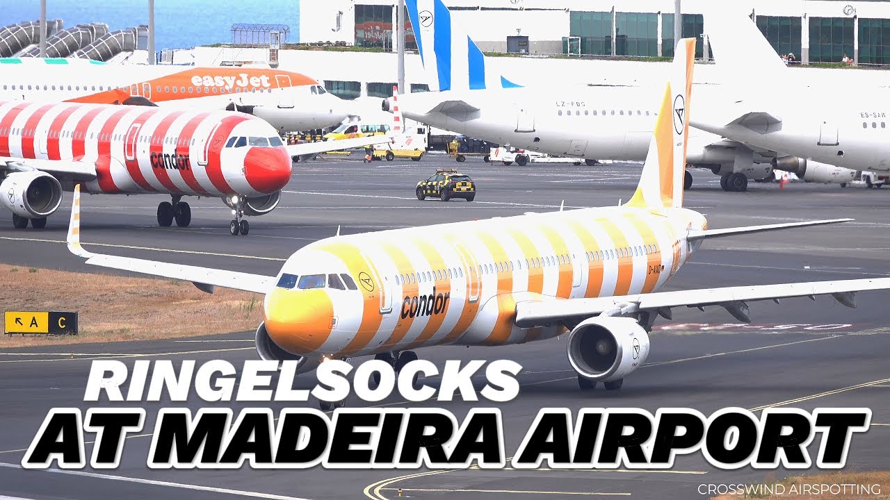 RINGELSOCKS CONDOR AIRLINES COLORING MADEIRA AIRPORT