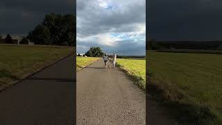 Alltagsmomente Tagaus Tagein