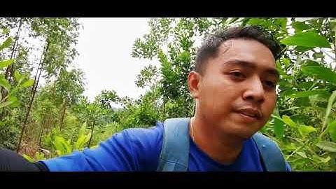 Permanent Sample Plot (PSP) - A Day with Enumeration