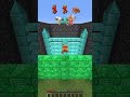 Minecraft WHO WINS?