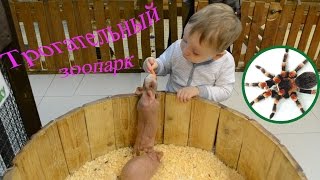 Видео для детей, развивающее. Про животных.Контактный, Трогательный зоопарк! Видео для детей, развивающее. Про животных.Контактный, Трогательный зоопарк!