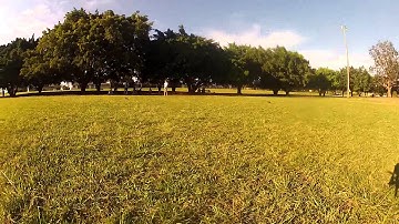 CC3D and QAV400 - Tree Run