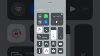 Square bird screenshot 5