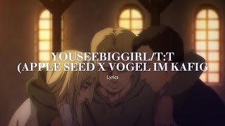 YOUSEEBIGGIRL/T:T (Apple Seed x Vogel Im Kafig) Lyrics