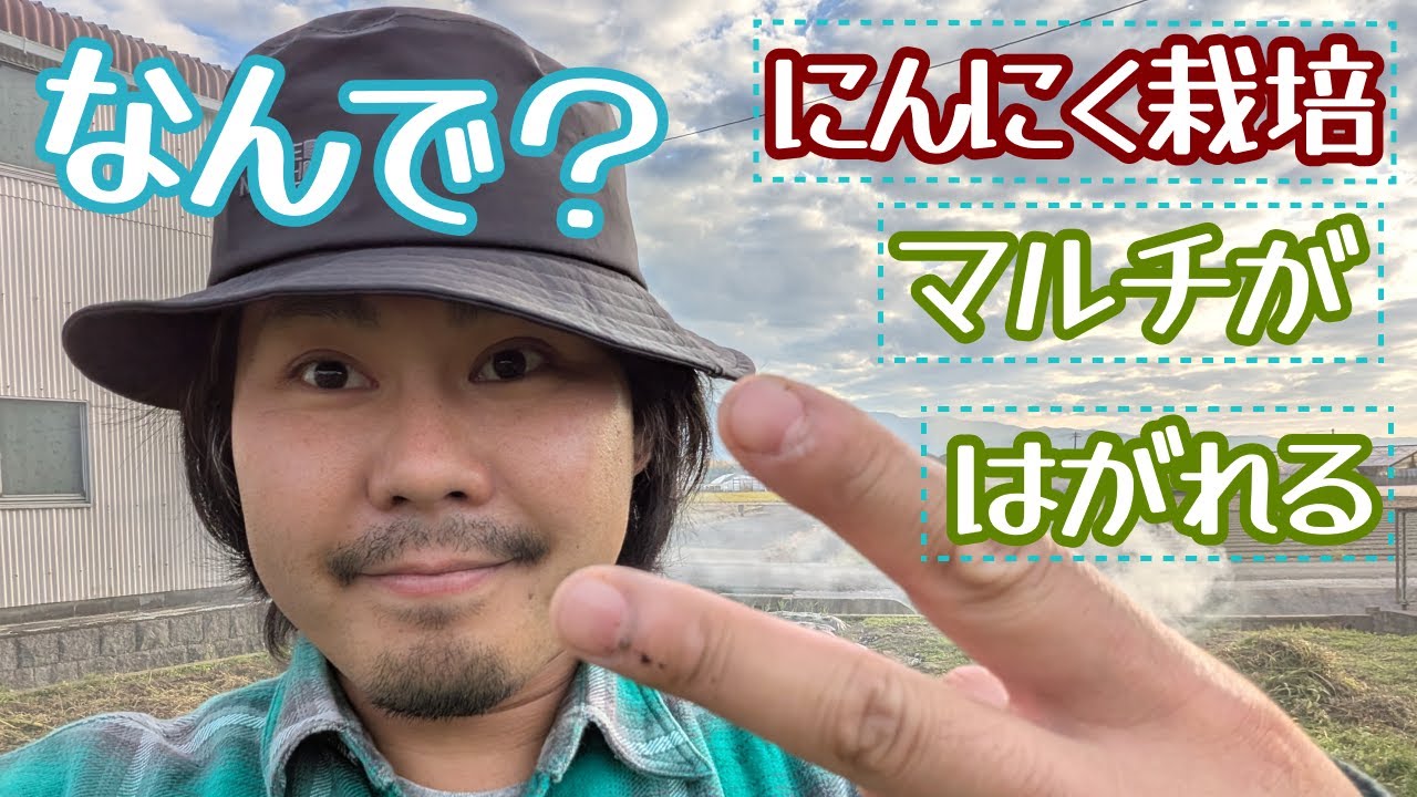 畑の拡大作業と、にんにくの様子見