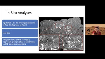 Pb and Rb-Sr isotope systematics of enriched components in Tissint - Suarez