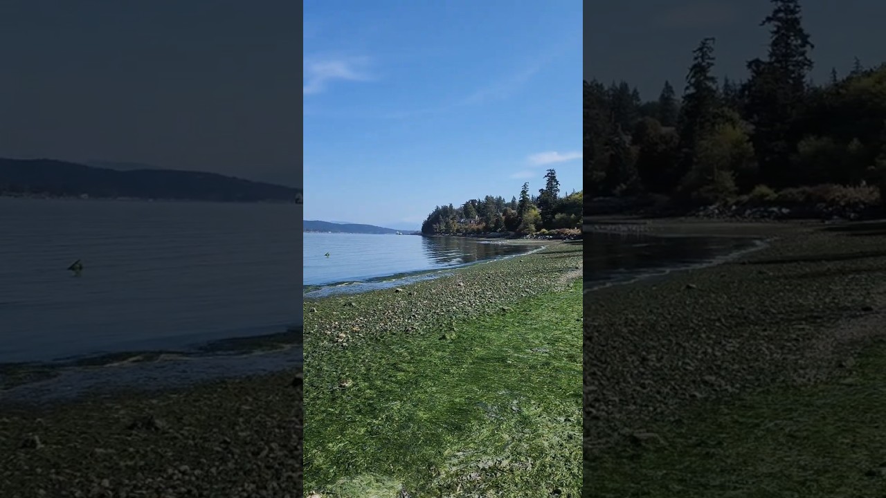 Anacortes-Ship Harbor