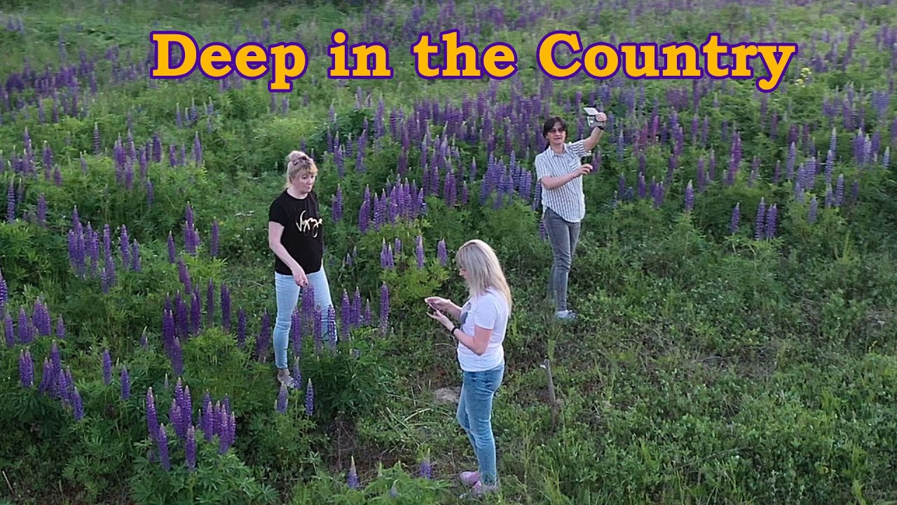 Проблемы русской деревни. Родина Бориса Ельцина. Город Талица.