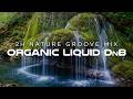 Organic Liquid Drum & Bass | Hidden Springs 💧 | 2 Hour Nature Groove Mix