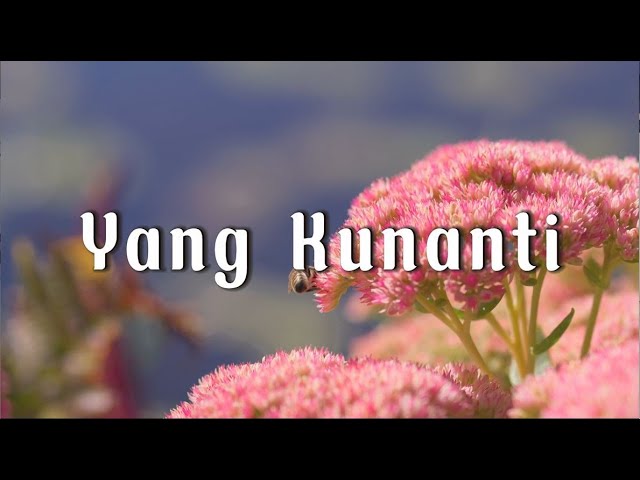 Yang Kunanti - Inka Christie (Lirik) class=