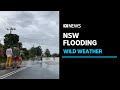 Northern NSW hit by wild weather as winds, flooding lead to hundreds of calls for help | ABC News