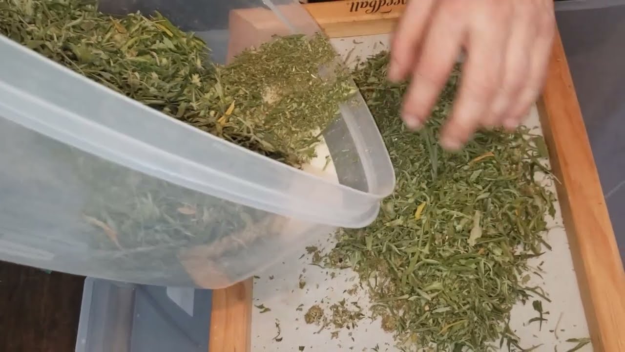 collecting kief with tshirt screen