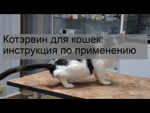 Котэрвин для кошек: инструкция по применению