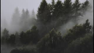 Phát Trực Tiếp Của De E P Z O N E