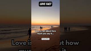 Real Love Isn’t Spoken, It’s Shown #wisdomwithfacts #chatstory #thingsiwantedtosay