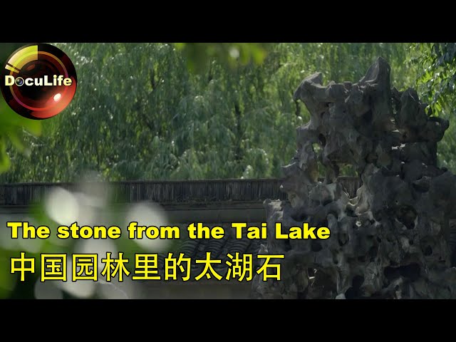 The stone from the Tai Lake中国园林里的太湖石- YouTube