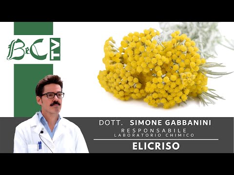 Video: Proprietà Medicinali Dei Fiori Di Immortelle Sabbiose