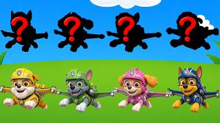 PAW Patrol and Friends Color Learning, Shape Matching & Dress Up Play PAW Patrol Aircraft