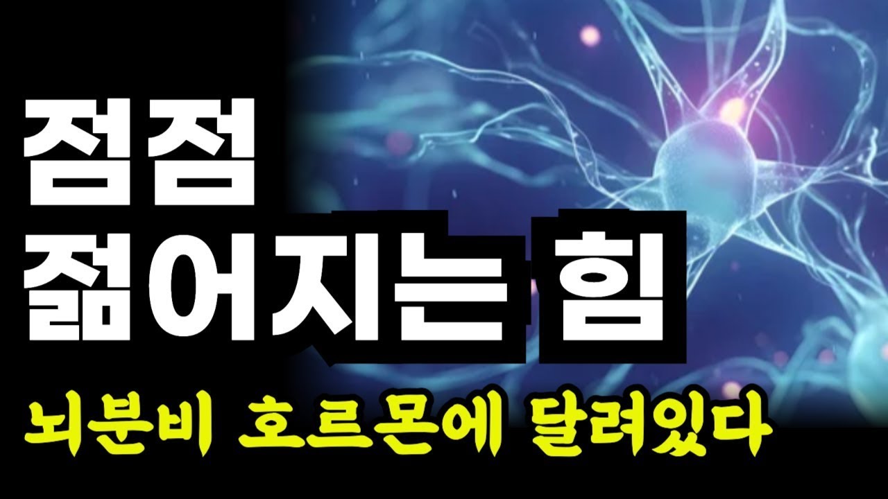 젊음은 뇌 분비 호르몬에 달려있다   어떻게 먹고 생각하고 운동할 것인가