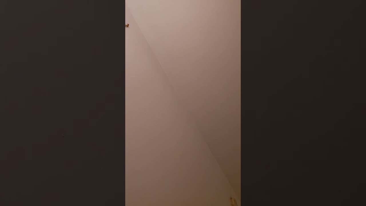 Cover: Lord of Eternity